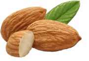 apricot bitter seed
